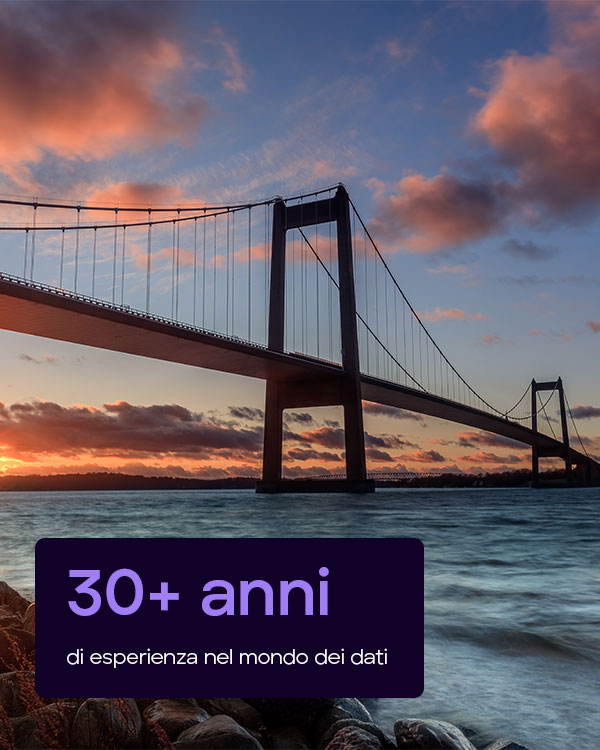 oltre-30anni-di-esperienza-nel-mondo-dei-dati